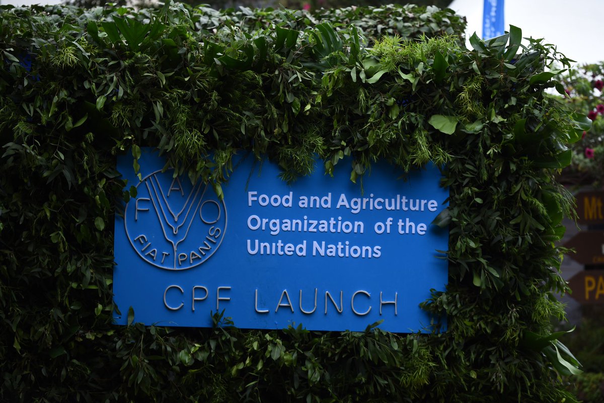 _jabuto's tweet photo. βMulti-stakeholder partnerships is critical in driving diversity of public & private financing that accelerates realization of sustainable & inclusive food systems. @FAOKenya will leverage partnerships in the implementation of this CPFβ π£οΈ@CMucavi
#FAOCPF2023 #FAOStrategyLaunch https://t.co/E2Be9Y5rtv