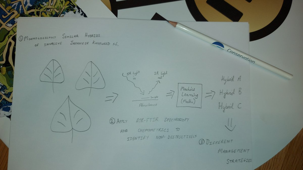 claireaholden's tweet photo. Love this #DrawYourResearch initiative from @conphysjournal at the @SEBiology Centenary Conference! โ๏ธ
Here is my attempt at summarising https://t.co/pZeFF3nhVp ๐ฑ
#SciComm #InvasiveSpecies #MachineLearning #Spectroscopy #SEBconference #Conservation #JapaneseKnotweed https://t.co/9y0vgaK3aR