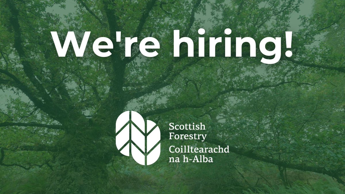 Job alert! 

Professional Support to Chief Forester.

You’ll be working with stakeholders to support the Chief Forester &amp; provide advice on forestry matters, promote professional standards, and be an advocate for forestry.

Closing Date 24 July 2023. 

➡️forestry.gov.scot/live-vacancies