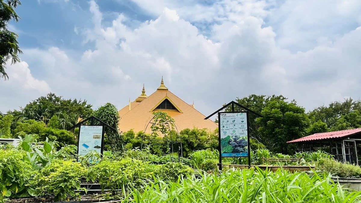 ไปเดินเที่ยว พิพิธภัณฑ์กลางแจ้ง เส้นทางพิพิธภัณฑ์เกษตรตามรอยพ่อ มีต้นไม้เรียงรายสองข้างทาง ใกล้พื้นที่แปลงปลูกป่าอนุรักษ์พันธุกรรมพืช ชมฐานการเรียนรู้การปลูกผักคุณภาพในโรงเรือน โครงการเกษตรทฤษฎีใหม่ประยุกต์ ๑ไร่ มั่งคั่งยั่งยืนโทร.0946492333 #พิพิธภัณฑ์การเกษตรฯ #wisdomkingmuseum