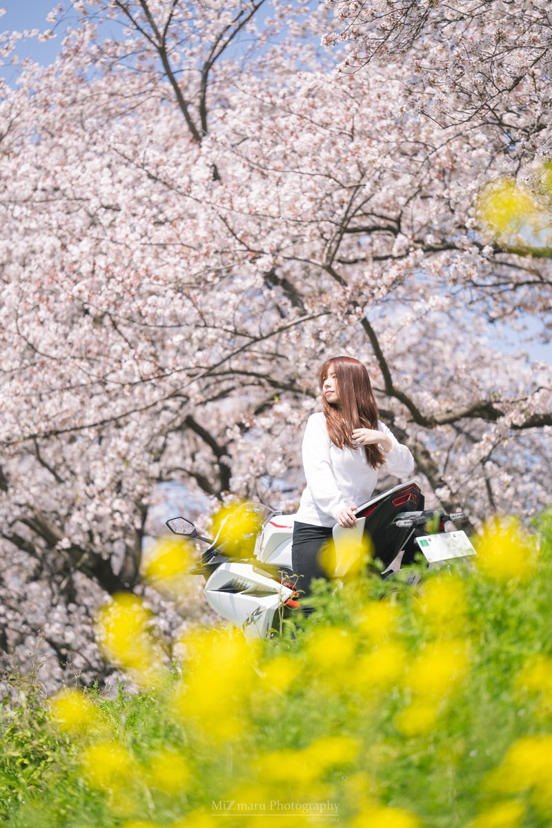 MiZmr_zx14's tweet photo. #みんなの撮影機材教えて
Nikon Z9
照明はad200とvl300t https://t.co/DzEStiMxVn