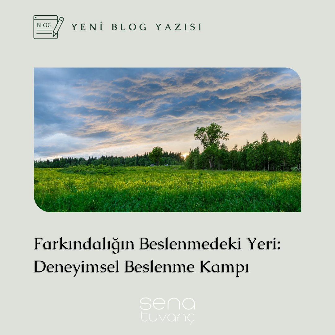 Senatuvanc's tweet photo. Yeni blog yazımız 22-23 Temmuzda gerçekleşecek Deneyimsel Beslenme Kampının farkındalık tarafını ele alıyor. Şimdi websitemizde yayında.

Kampa katılmak için iletisim@senatuvanc.com https://t.co/gu1QbJ60Hz