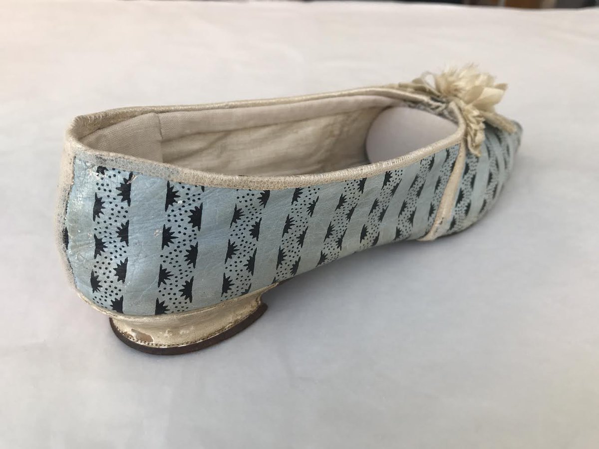 Zenzie Tinker Conservation tweet media