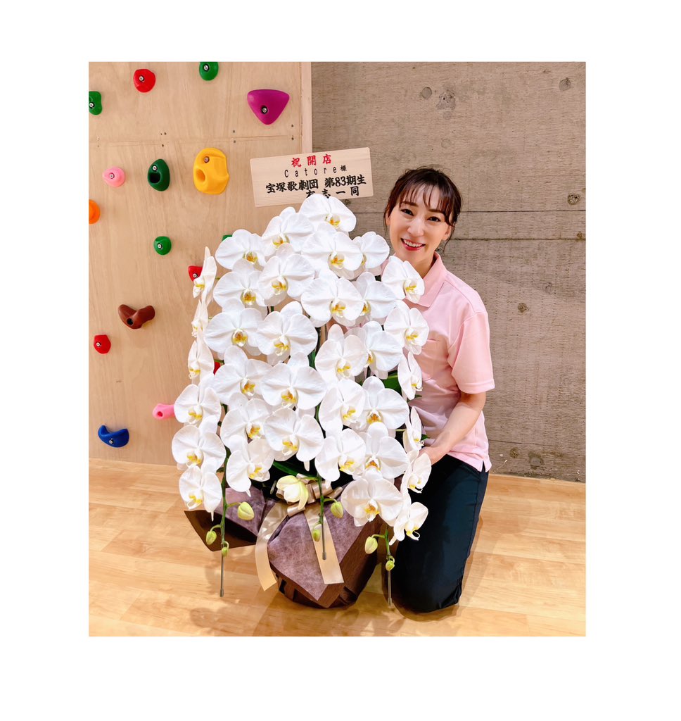 😭✨ #宝塚歌劇団 #83期 同期から、こんなにも大きな胡蝶蘭を頂きまし