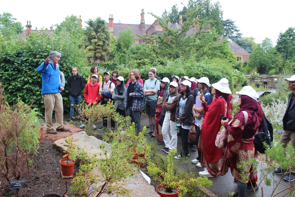 It is a week of great importance and excitement for the Orchid Project as they welcome staff and students from their partner school in Sarawak, Borneo. 

The greenhouses will be open to the public alongside our open event on Thursday 6th between 4:30 - 7:00pm.