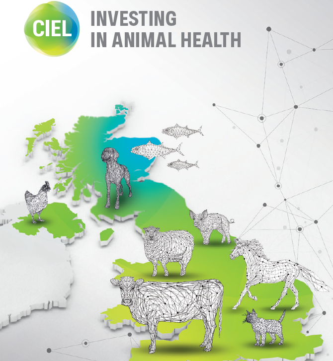 CIELivestock1's tweet photo. Have you registered for this afternoon's webinar launching our new 'Investing in Animal Health' Report?
If you haven't already, register now to learn about the #animalhealth ecosystem in the UK &amp; what's included in the report
👉 https://t.co/NtrMdyXCwq https://t.co/NUUv8UkQ85