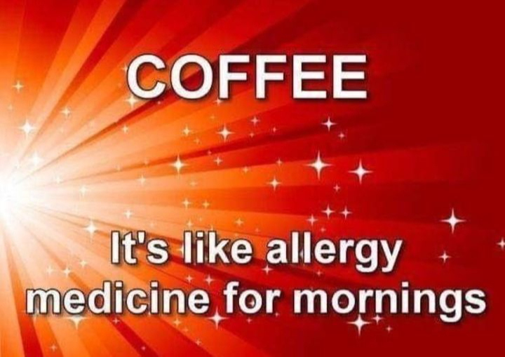 MindyAumann's tweet photo. What's your coffee flavor/recipe today? https://t.co/53wldwY0Ul