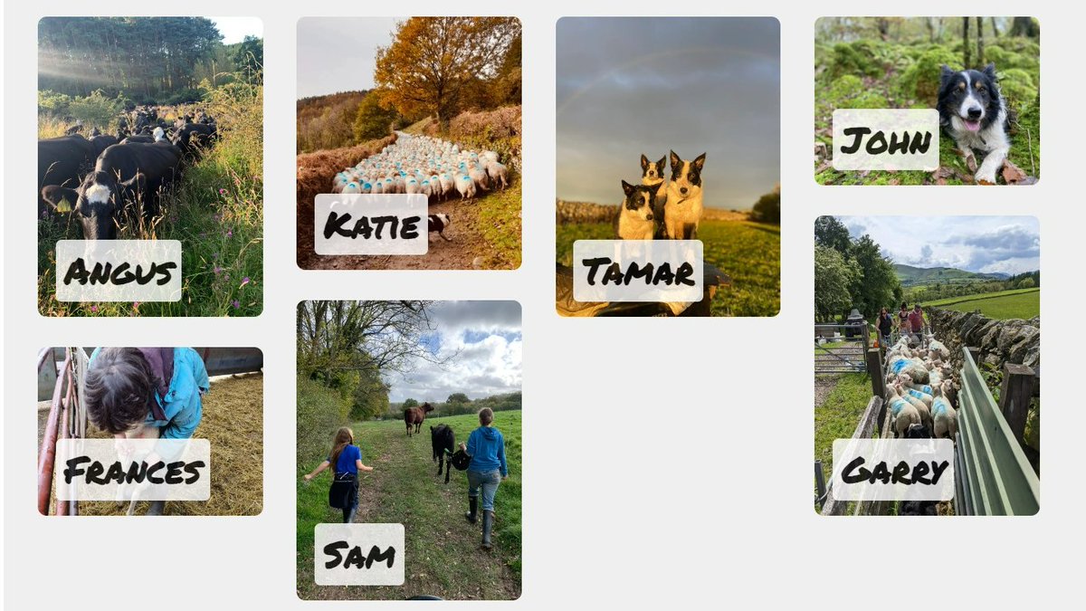 Had a lot of fun working with an awesome group of livestock farmers last autumn, using the Photovoice method 📷📱🐂🐑🌱🐦🌳 
Here's a digital exhibition of their photos and captions: farmervoices.co.uk