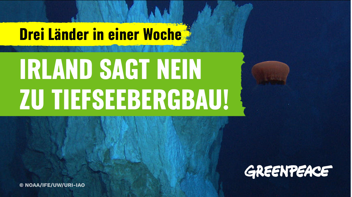 Neben Schweden &amp; der Schweiz spricht sich nun auch Irland gegen den Start von #Tiefseebergbau aus. 🇮🇪🐙
6 Tage vor Beginn der entscheidenden Sitzung der <a href="/ISBAHQ/">International Seabed Authority</a> fordert das Land eine vorsorgliche Pause. Die Stimmen gegen die Ausbeutung der Meere werden lauter! #StopDeepSeaMining