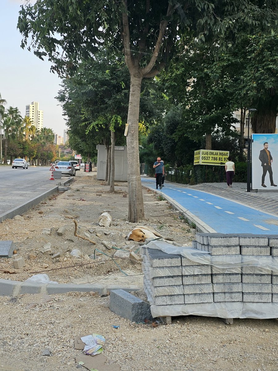 Gülümseyin Çukurovadasiniz, 6 aydan beri  burasi bu şekilde.