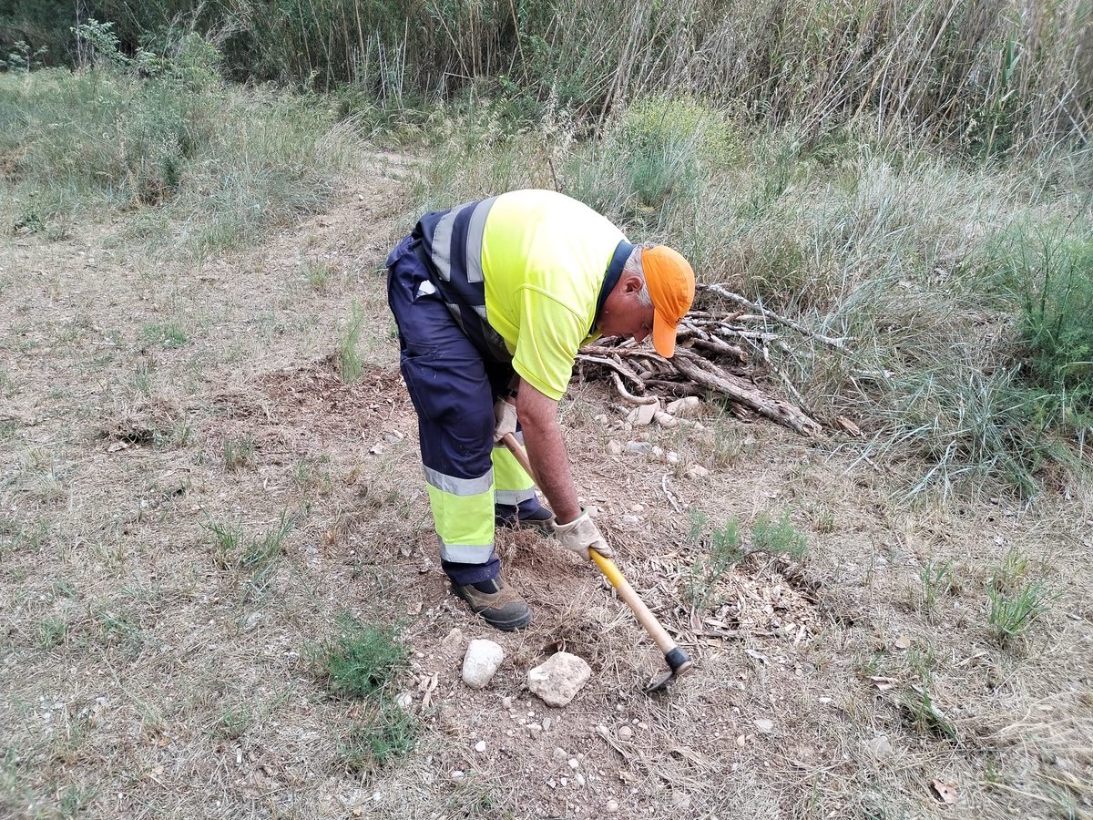 auroracet's tweet image. 🌿Control d'exòtiques i manteniment de plantacions de la Plantada Popular de #Perafort i #Puigdelfí dins del projecte "Conservem i coneixem el riu #Francolí".
#AssociacióAurora @Dipta_cat #custodiafluvial #DiptaSuma #MésSostenibilitat #natura #conservació