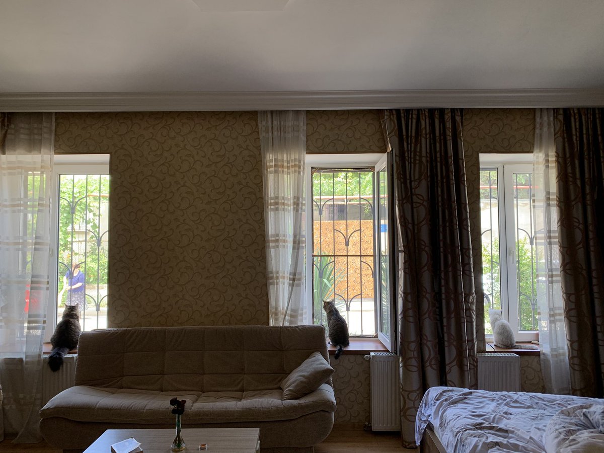 Три окна и три кота