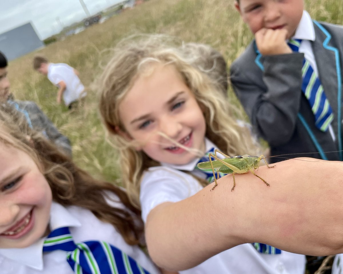 Fantastic time spent with <a href="/AtlanticAAT/">Atlantic Academy</a> at our Environment Day with circa 300 primary students. As well as a BioBlitz, students made bird feeders, bug hotels and toad abodes. Huge thanks to all who supported. bit.ly/3pIlQxP
<a href="/TNLComFund/">The National Lottery Community Fund</a>
<a href="/DorsetComFnd/">Dorset Community Foundation</a> 
#doonething