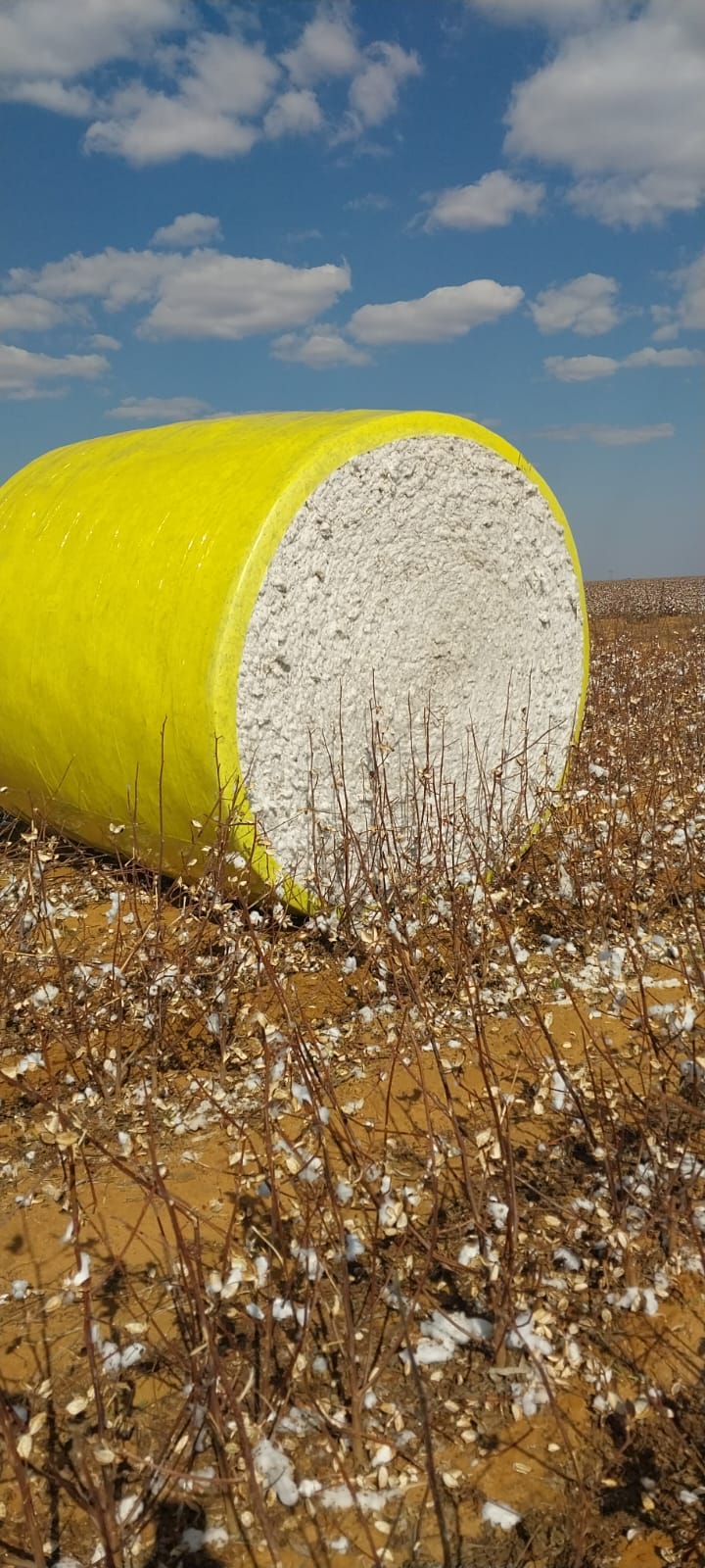 Farmer's Weekly on Twitter "Cotton is by far one of the most