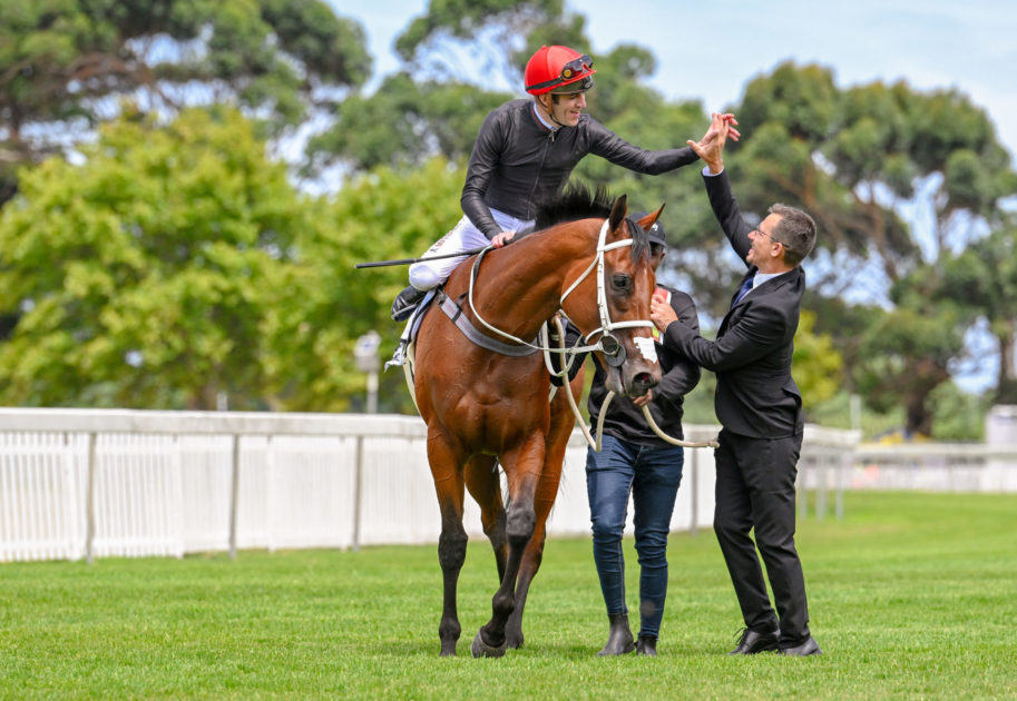 De Kock Racing (@dekockracing) on Twitter photo Desert Miracle is off to stud <a href="/Wilgerbosdrift/">Wilgerbosdrift</a>, a wonderful filly for the stable and Mary Slack. mikedekockracing.com/2023/07/05/des… Desert Miracle is off to stud <a href="/Wilgerbosdrift/">Wilgerbosdrift</a>, a wonderful filly for the stable and Mary Slack. mikedekockracing.com/2023/07/05/des…