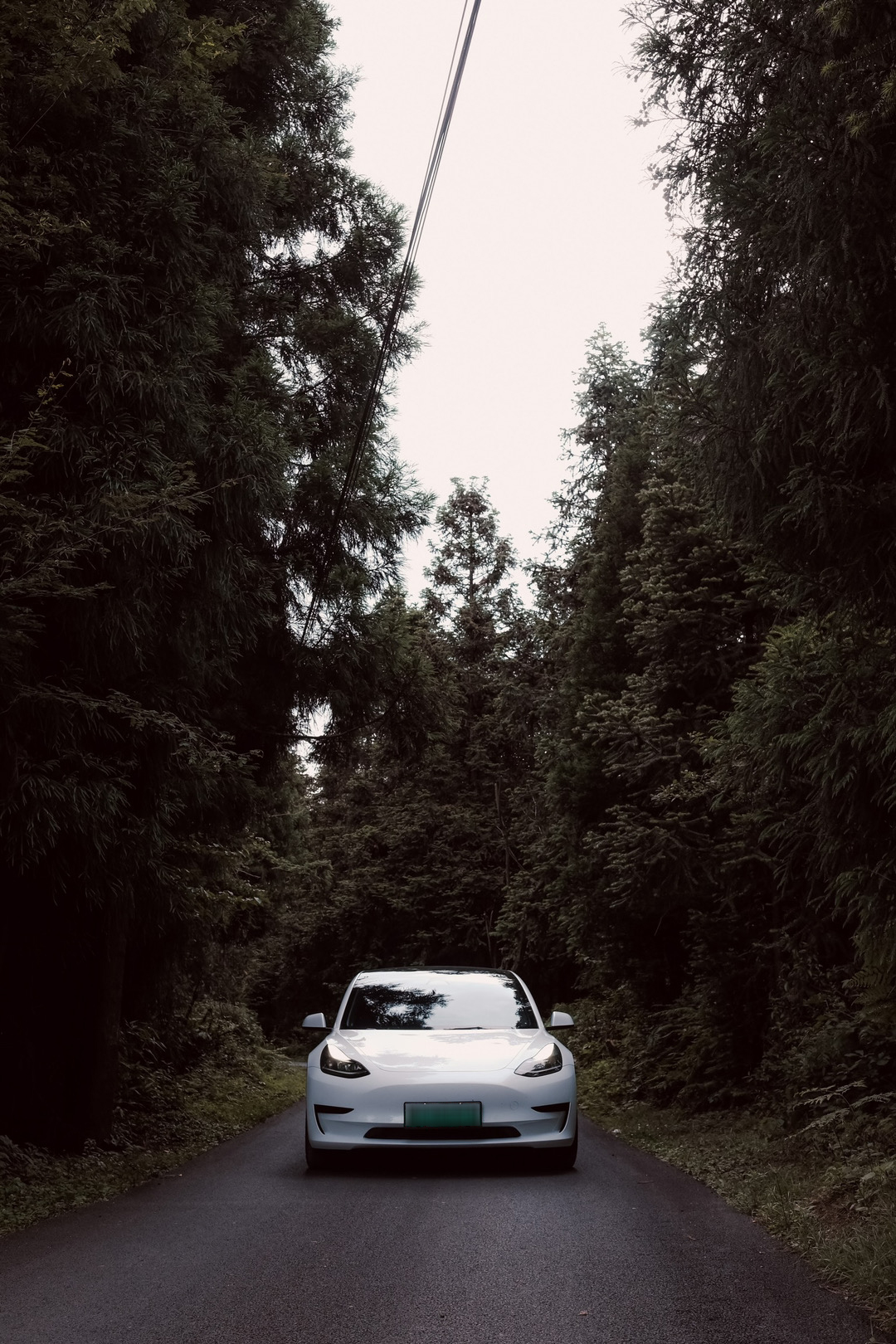 Tesla Asia On Twitter Take Your Tesla For A Spin And Embark On A