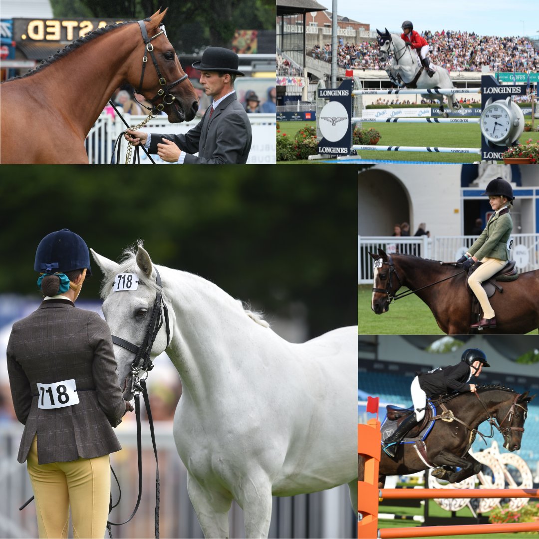 DublinHorseShow's tweet photo. RDS Dublin Horse Show 2023 - Entries Closing Soon!

Entries for the 2023 RDS Dublin Horse Show will close at 5pm on Monday next, 10 July.

All entries must be submitted online via the following link - https://t.co/TdUHMz2EQ8  

#DublinHorseShow #DHSCountdown https://t.co/rLPQmOYhCZ
