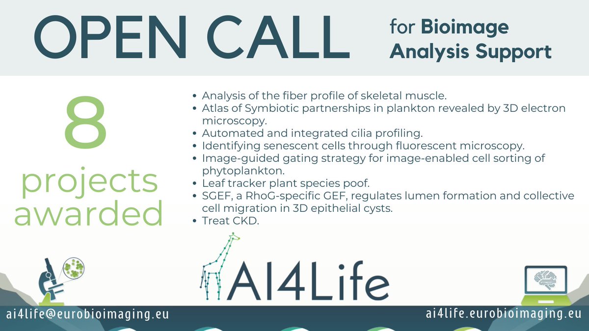 📢 Open Call update: We're thrilled to announce the selected projects in the first AI4Life Open Call: 
ai4life.eurobioimaging.eu/first-ai4life-… 

Thank you all for your applications, we can't wait to dive in and start working on these projects!  #bioimageanalysis