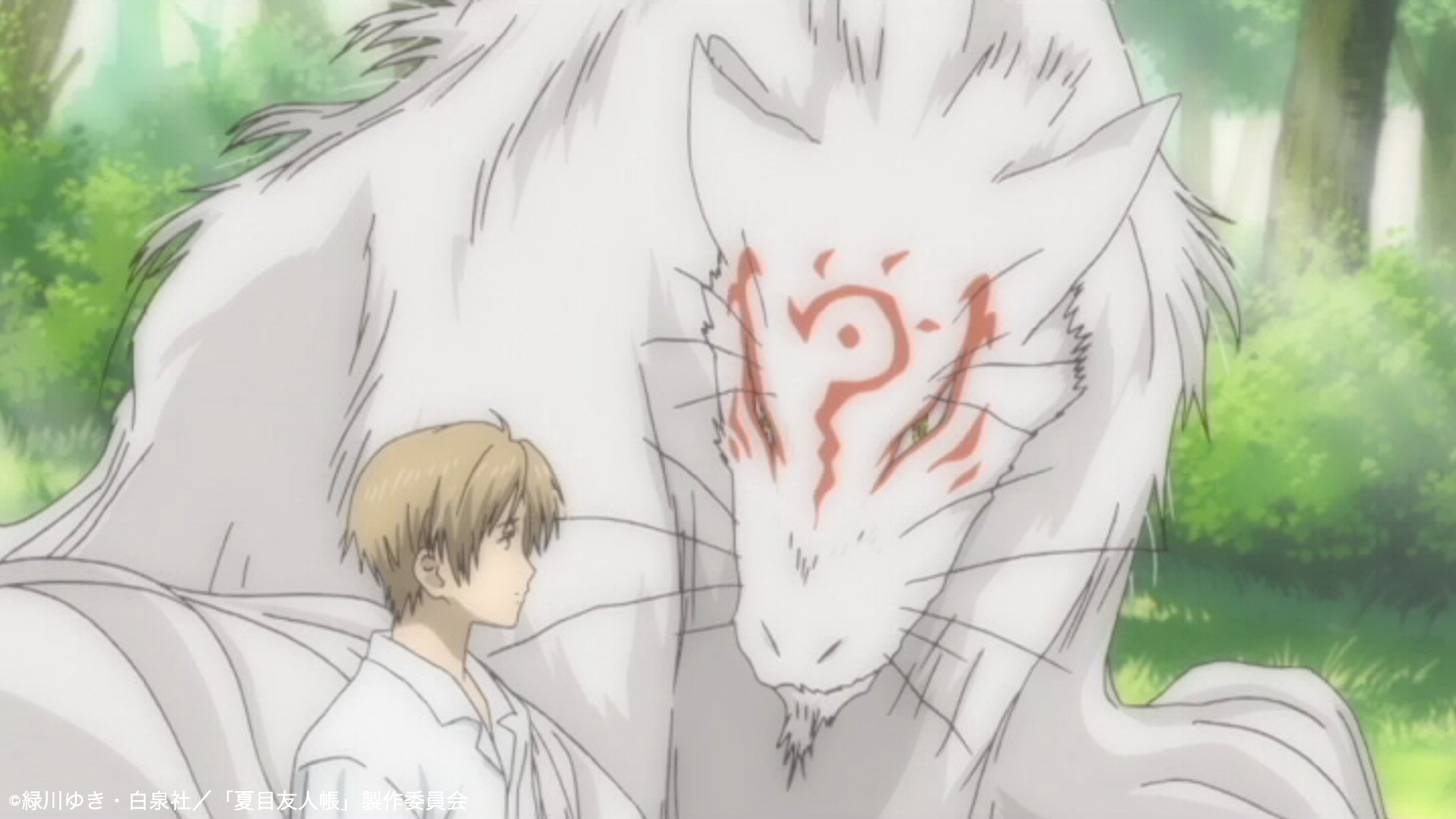 夏目友人帳 夏目貴志 幼少期 傷汚れ有り 夏目友人帳 子供になっ