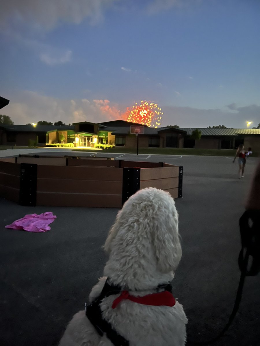 I like fireworks! 🇺🇸
