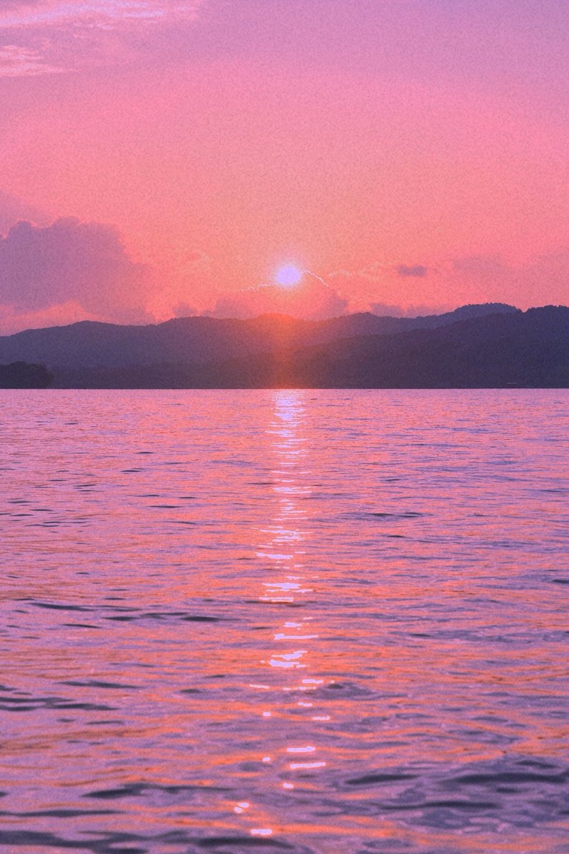 喵了个咪的 tweet media