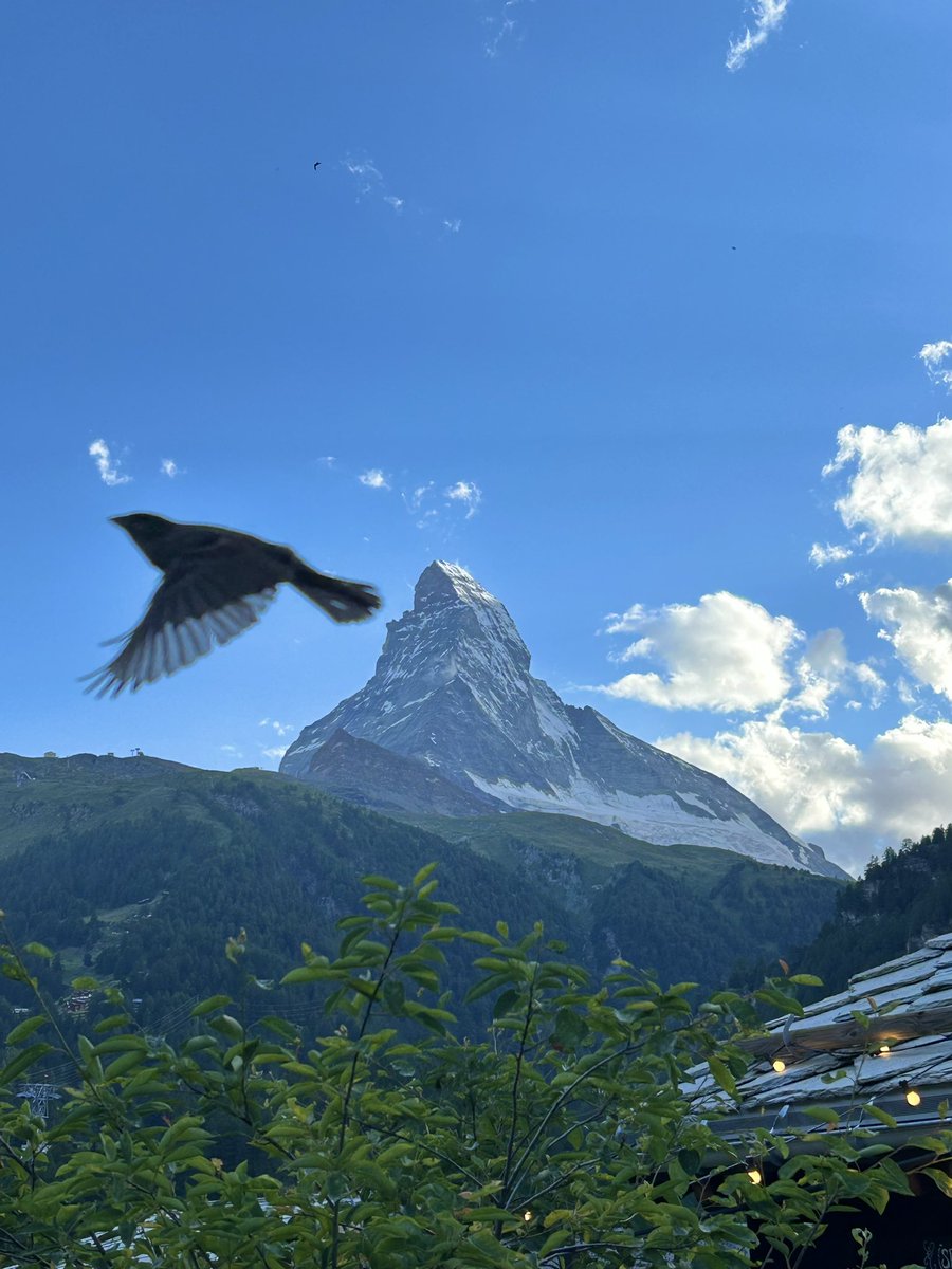 lubnaAlkhamis's tweet photo. Hello from Zermatt🏔️ https://t.co/ieCyqH7ieq