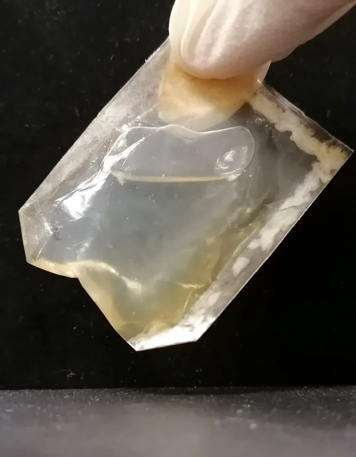 Researchers create edible, transparent composite packaging with biocellulose, that could potentially replace the use of plastic in the near future!

To read the full story, visit: buff.ly/3NC0pGF 

#sustainability #carbonfibre #sustainablepackaging #composites