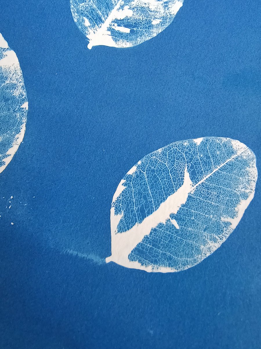 (Blue) Laundry Day #cyanotype