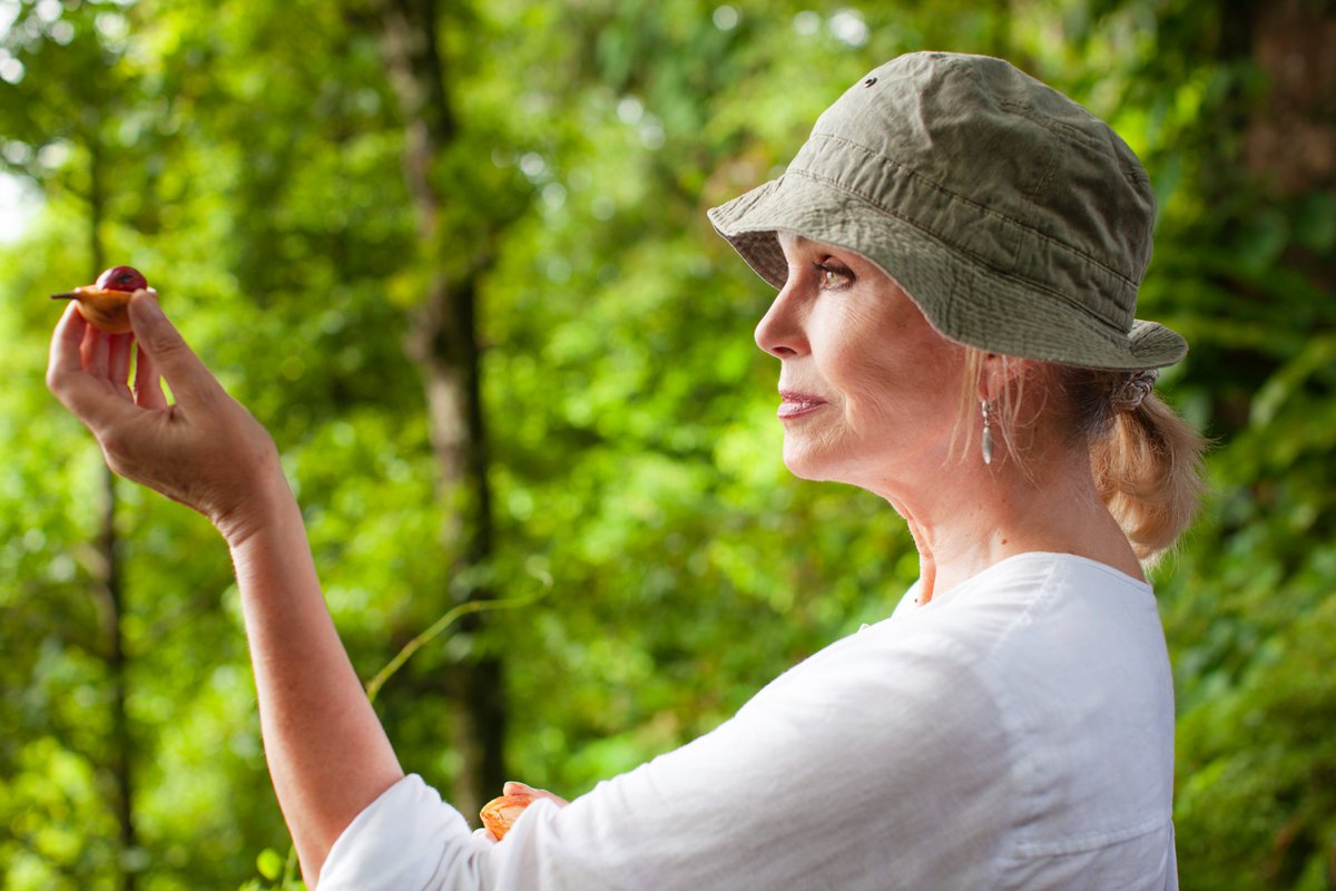 #JoannaLumley's #SpiceTrailAdventure starts tonight at 9pm on @ITV and @ITVX ! The four-part documentary explores the centuries-old spice trade and the rich tapestry of flavours and cultures which have shaped our world 🌏