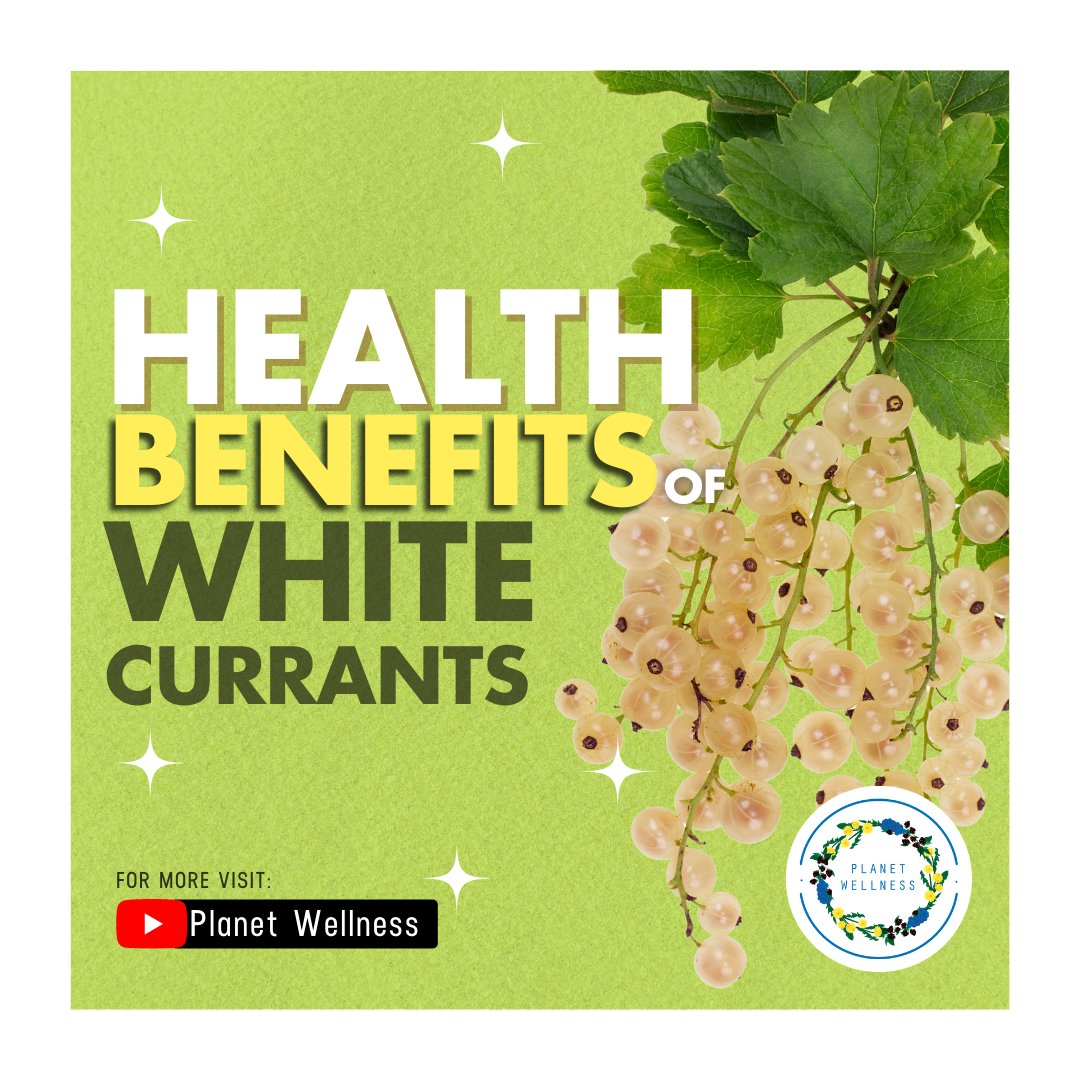 wellness_planet's tweet photo. Packed with antioxidants, vitamins, and a tangy-sweet taste, these tiny wonders are a health enthusiast's delight. From boosting immunity to enhancing skin radiance, white currants are nature's gift for a vibrant and nourished you. 

Know more 👉 https://t.co/FvXnCcHxFE https://t.co/W8Wb3uaPo9