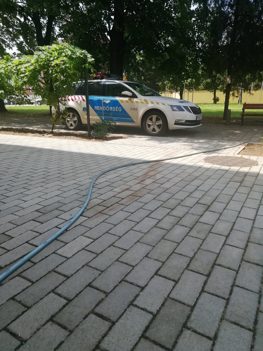 Karıştı Macaristan işin ucunu bırakırsam adam değilim isterse idam etsinler