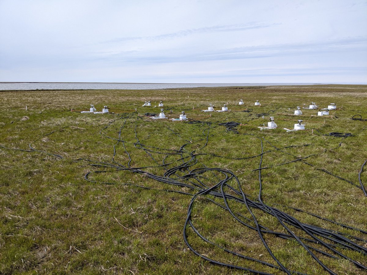 Bonnie Waring (@bonniegwaring) on Twitter photo I had such an amazing time with <a href="/EcoAdkins/">Jaron Adkins</a>, <a href="/ryantchoi/">Ryan Choi</a>, @TreelorSaunders, and Lindsay Miller investigating carbon-climate feedbacks on the Alaskan Yukon-Kuskokwim Delta. Amazing team! (with Karen Beard and Trisha Atwood, <a href="/USUAggies/">Utah State University</a>) I had such an amazing time with <a href="/EcoAdkins/">Jaron Adkins</a>, <a href="/ryantchoi/">Ryan Choi</a>, @TreelorSaunders, and Lindsay Miller investigating carbon-climate feedbacks on the Alaskan Yukon-Kuskokwim Delta. Amazing team! (with Karen Beard and Trisha Atwood, <a href="/USUAggies/">Utah State University</a>)