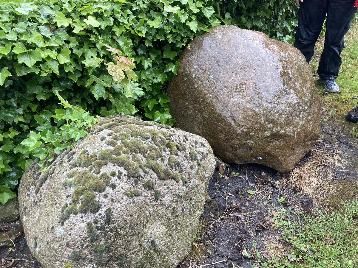 Earth Heritage Trust tweet media