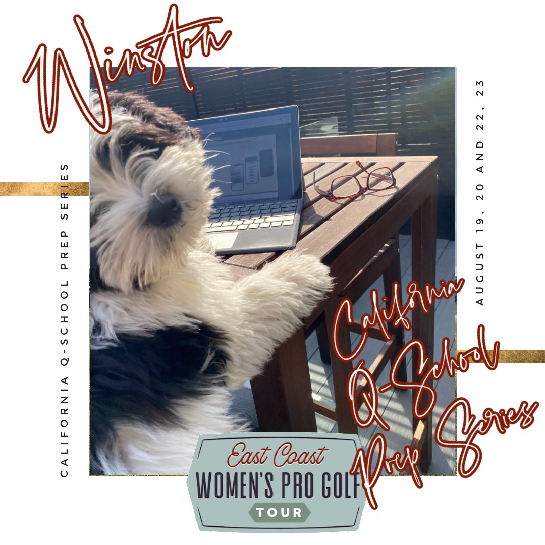 NXXTWomensTour's tweet photo. Winston is busy working out the logistics for Q-School prep this August! ⛳️ Dates: August 19-20, August 22-23 ⛳️ Location: Indian Wells Country Club & Mission Hill Country Club ⛳️
What are you waiting for? Sign up today at https://t.co/hoheBgECQT 👈🏻 #ECWPGT #qschool #lpga https://t.co/NZtdpfYUC3