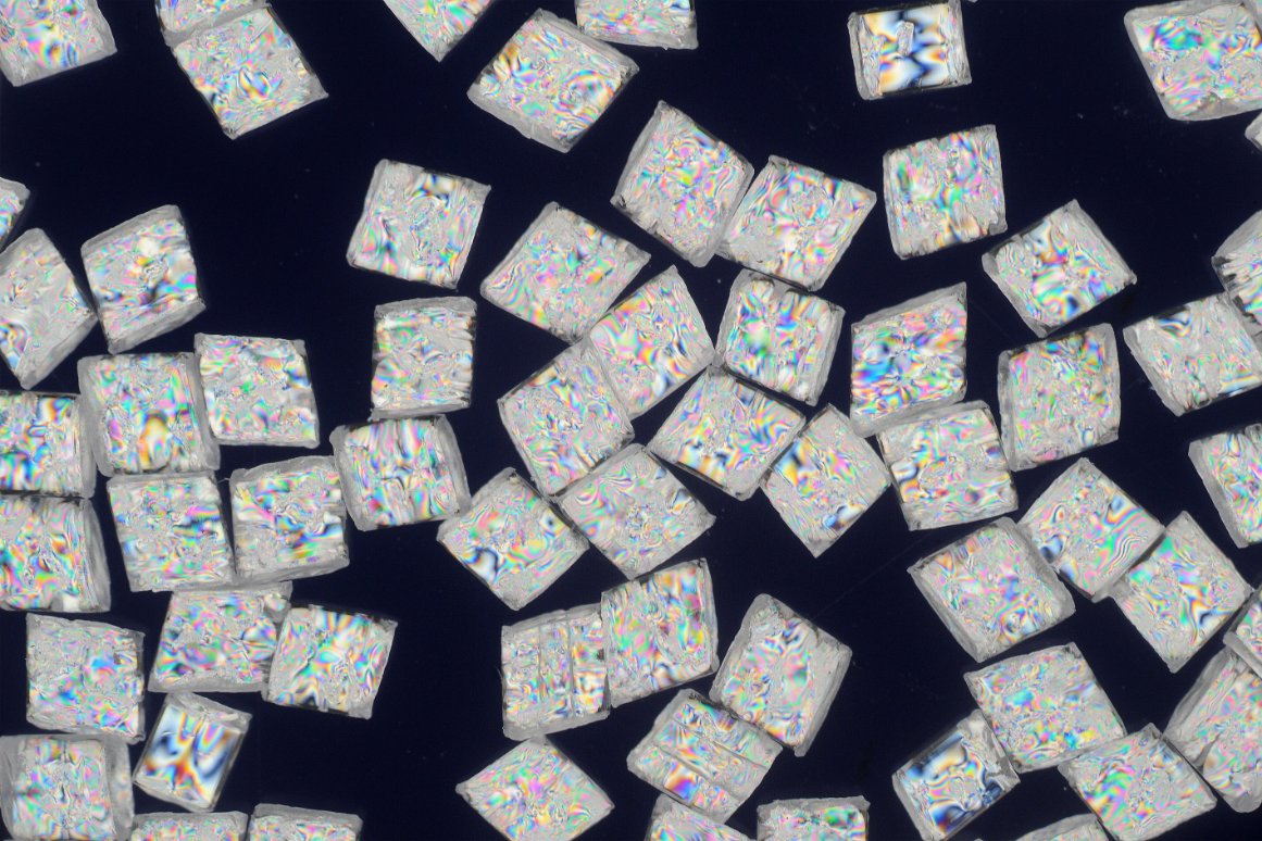 bfren's tweet image. Bisphenol A in everyday products: Answers to frequently asked questions

Read our updated FAQ here: bfr.bund.de/en/bisphenol_a…

#BisphenolA #BPA