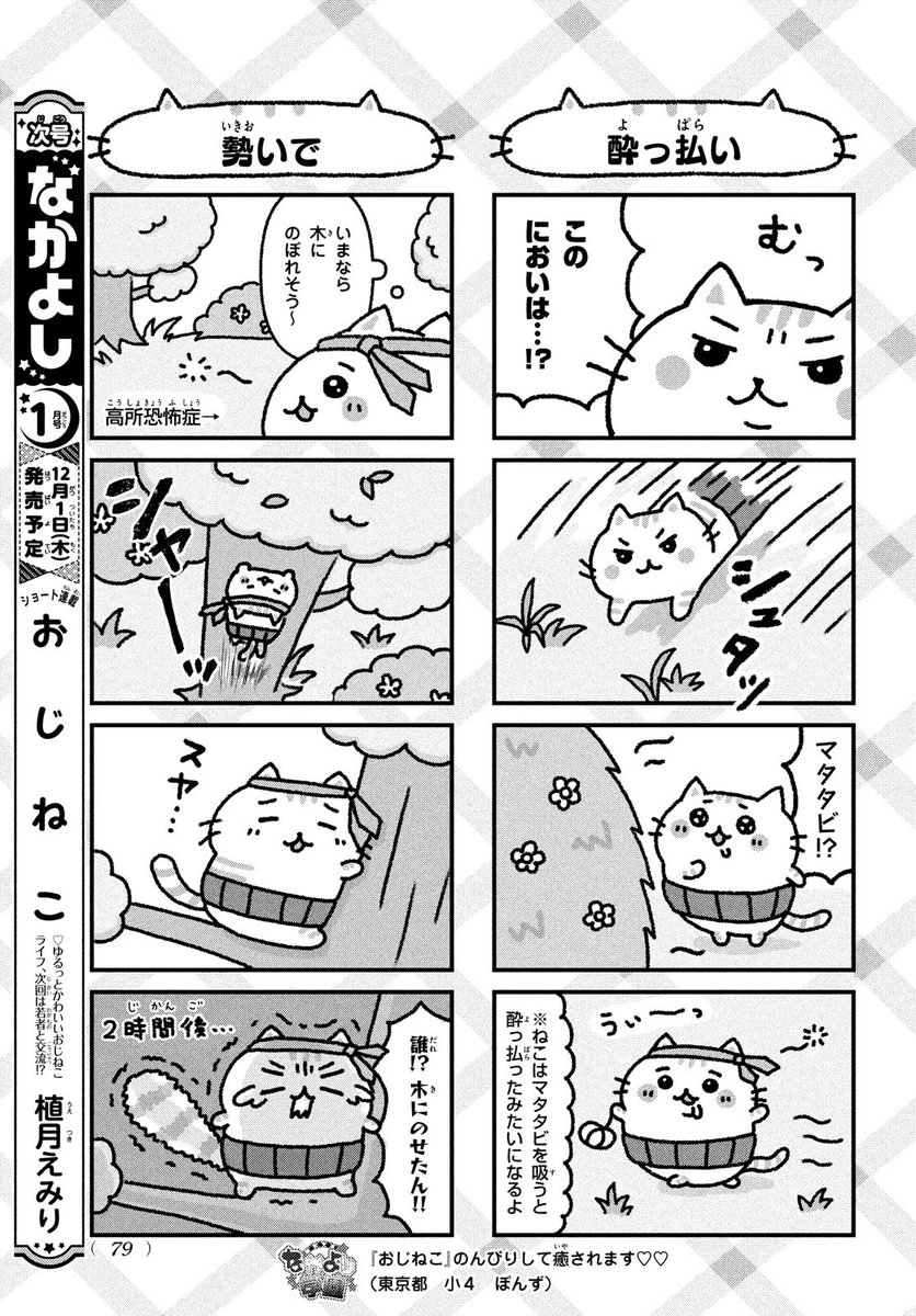 （2/2） https://t.co/zNPQIhh3Bu