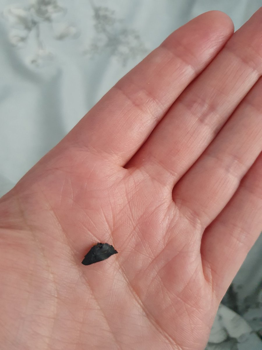 loulouch77's tweet photo. Found this while eating @KelloggsUKI  all bran this morning. Put me right off. Some kind of plastic https://t.co/BDEdCbgQ0A