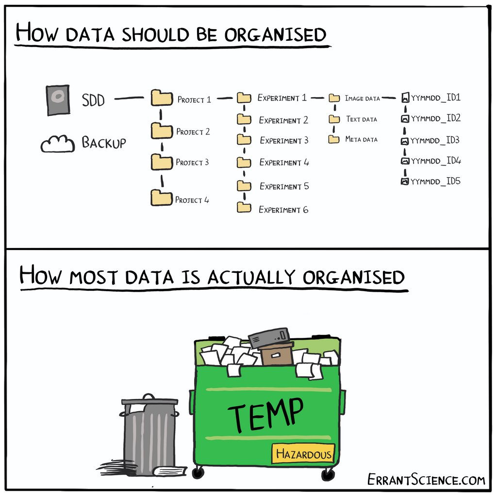 ErrantScience tweet media