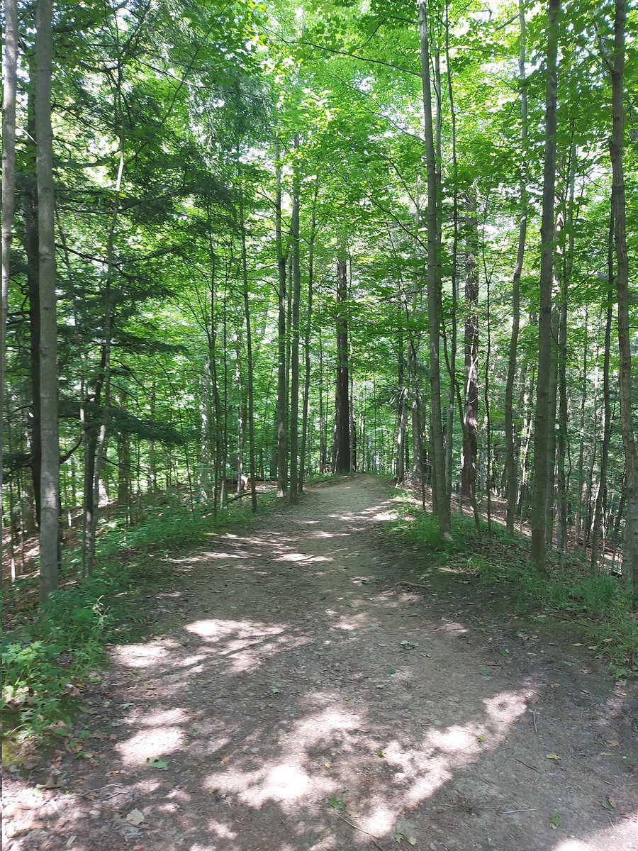 No matter what you are experiencing, I hope you will still find time to see the beauty in this world. For my mental health, what I love to do is walk and hike. There's just something special about being outside &amp; enjoying nature. #selfcare = #selflove #WritingCommunity #writers