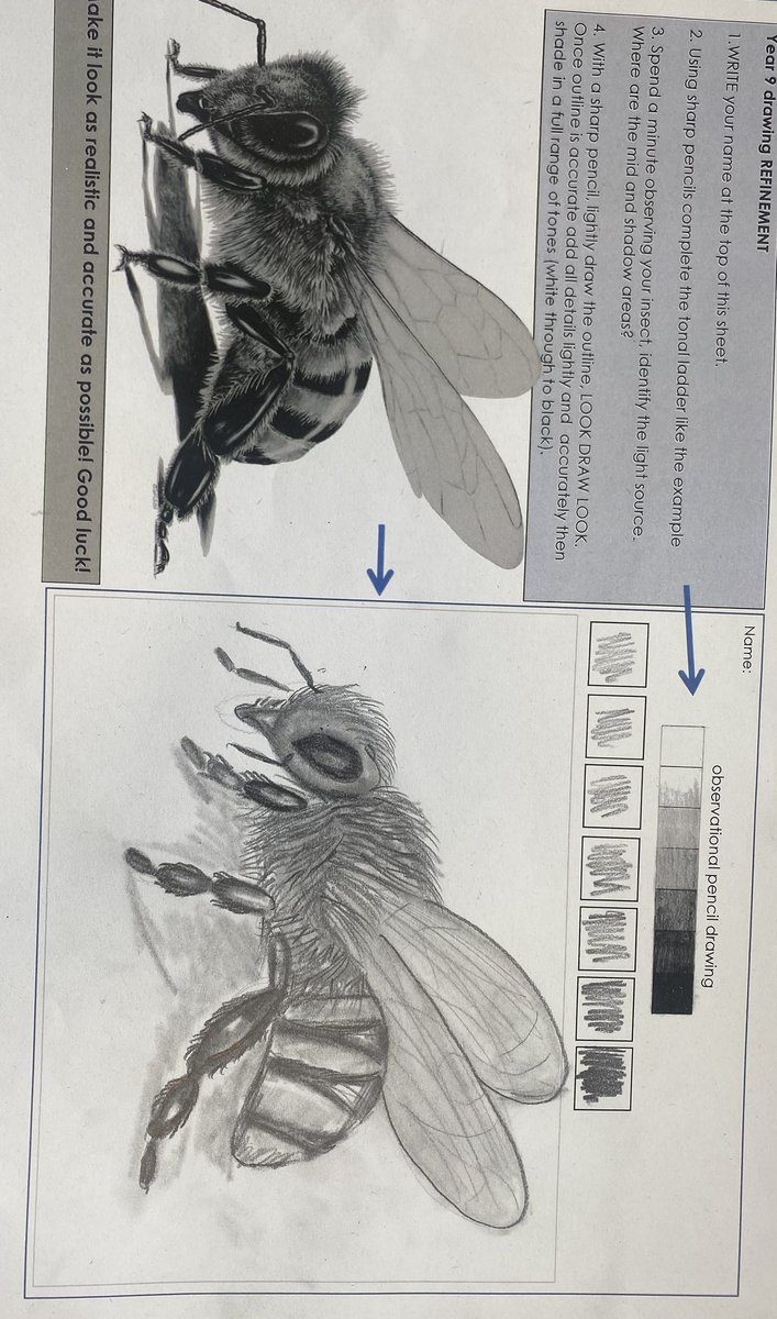 Year 9 created some fantastic drawings for our Natural forms project last week!🐞🪲🐛
<a href="/OfficialNUSA/">NUSA</a> #art #Pencildrawing