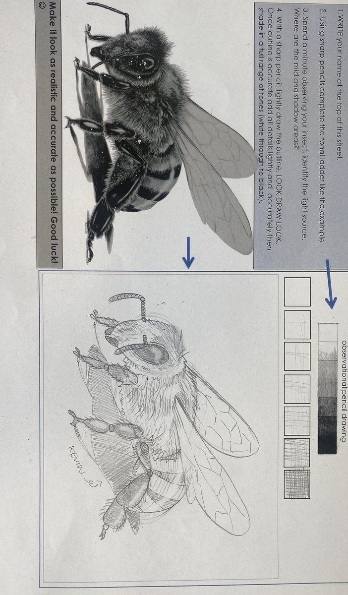 Miss_Taylor25's tweet photo. Year 9 created some fantastic drawings for our Natural forms project last week!🐞🪲🐛
@OfficialNUSA #art #Pencildrawing https://t.co/rcNjrXpA9I