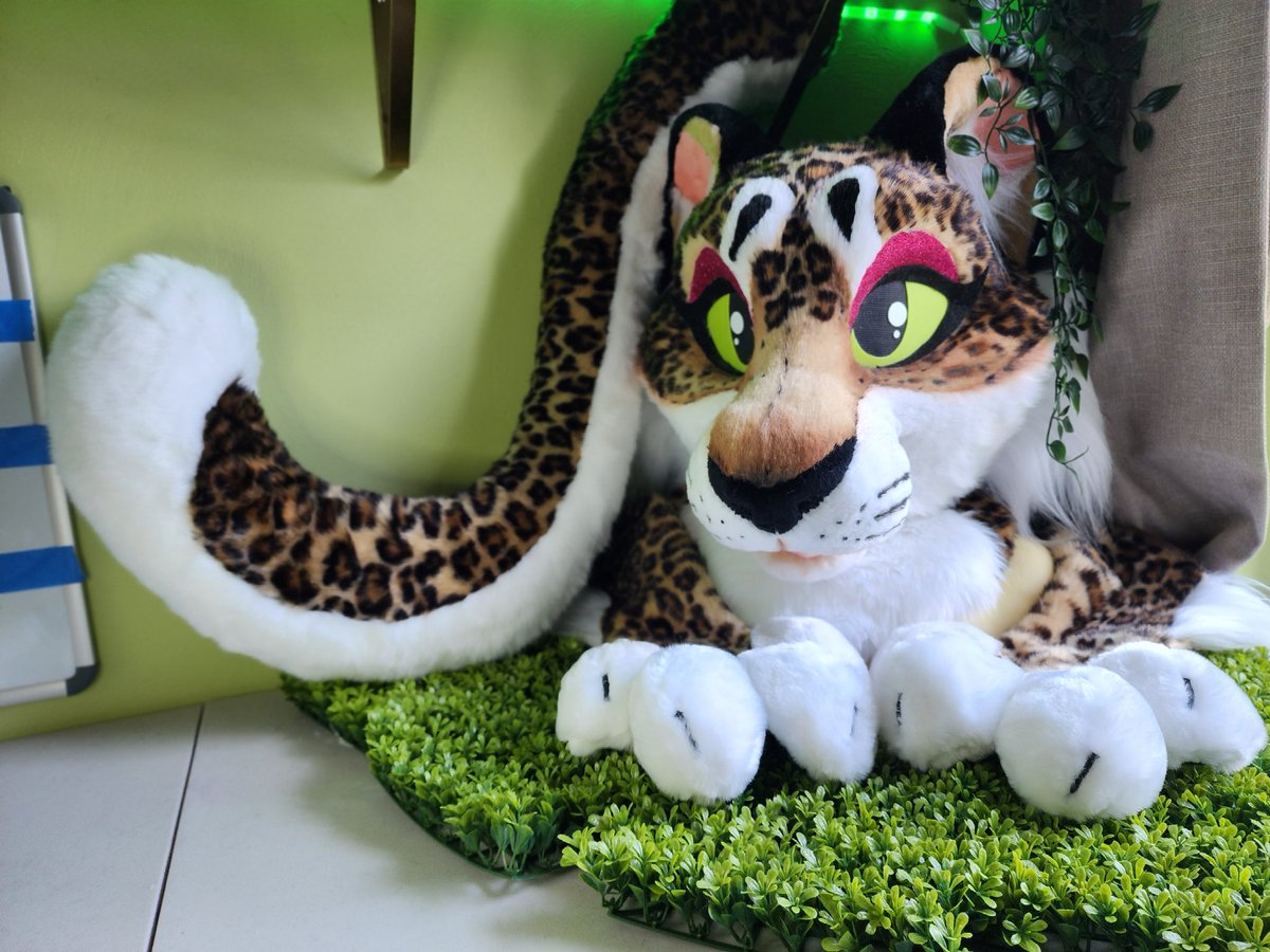 TBarkCreations's tweet image. ✨️‼️Did you know this pretty kitty is still up for sale?‼️✨️

Lower price, No longer an auction, Buy her immediately! 

Check her out:
furforge.com/listing/leopar…

#fursuit #fursuitmaker #furry #fursuitforsale #costume #leopard