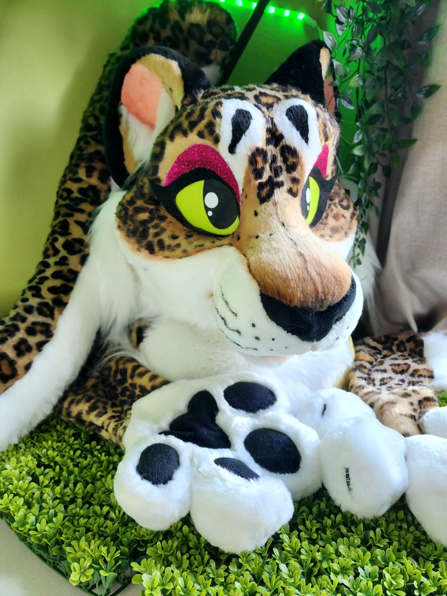 TBarkCreations's tweet image. ✨️‼️Did you know this pretty kitty is still up for sale?‼️✨️

Lower price, No longer an auction, Buy her immediately! 

Check her out:
furforge.com/listing/leopar…

#fursuit #fursuitmaker #furry #fursuitforsale #costume #leopard