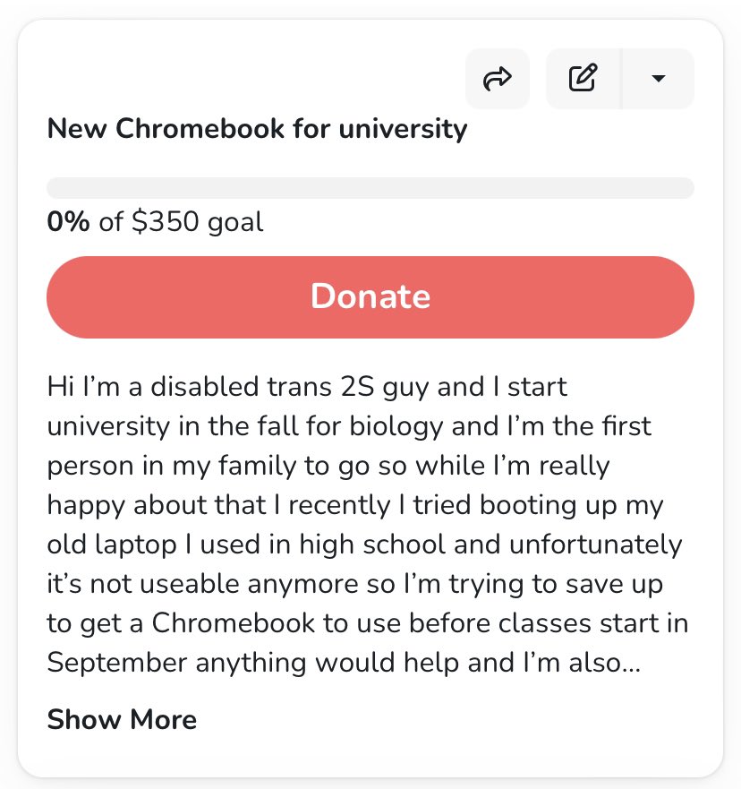 Hi I’m Leo I’m a disabled trans 2S guy who starts college in September however I need to buy a new Chromebook for classes and I currently can’t get a job in my area despite applying everywhere so I’m open for some art commissions any help is very appreciated prices are below