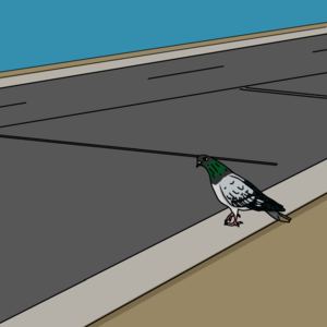 Amazing Radio tweet media