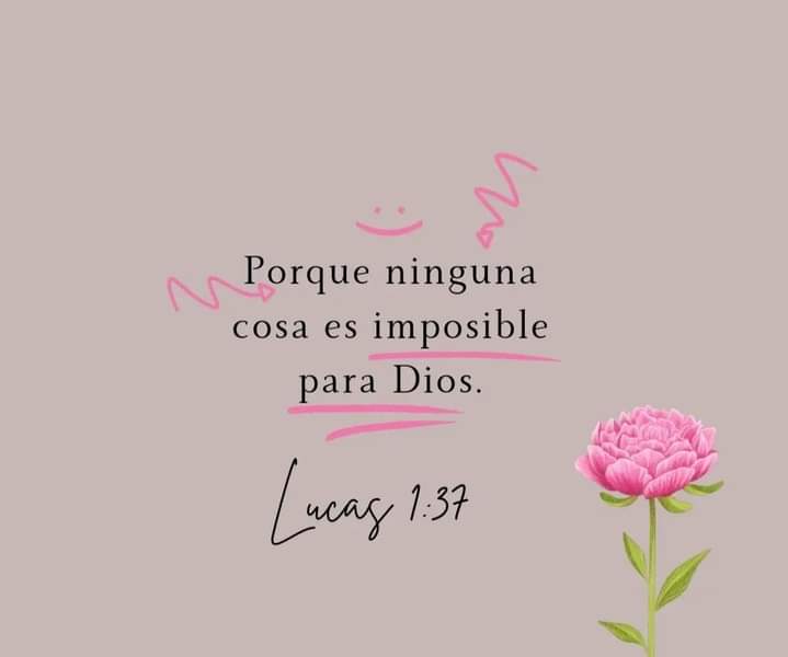 ⚘ ༗𝓝𝓲𝓚𝓨༗⚘⟿ ᭄ tweet media