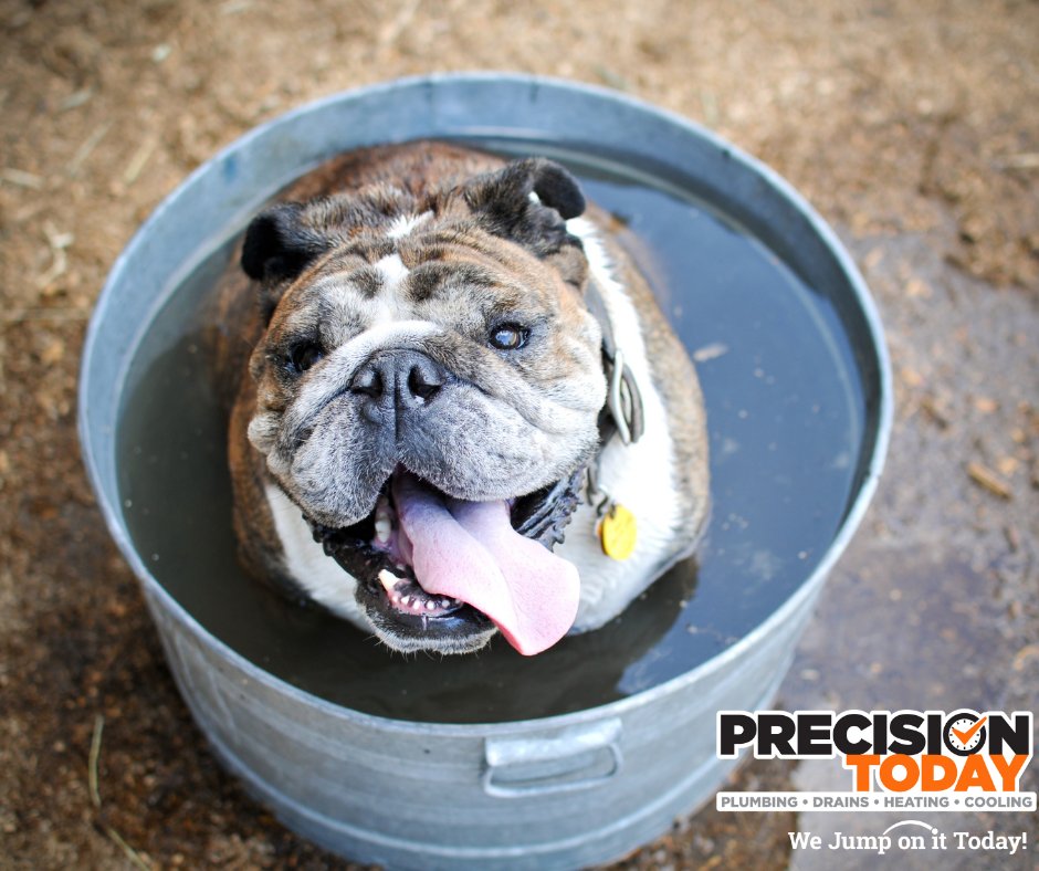 precision_today's tweet photo. No a/c?  Let us fix that for you! 

708-317-9887 https://t.co/yz3Tik4rG6
