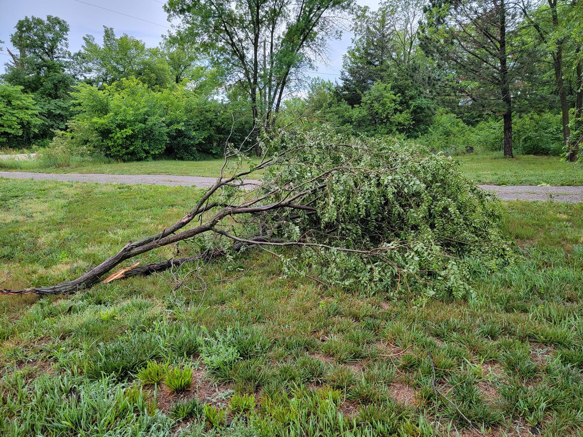 [6:35am 5 July 2023, 5 WNW Mayetta, KS] *Delayed report*
Thunderstorm wind damage occurred at approximately 10:45pm 4 July 2023 with ~6" diameter tree limbs broken (healthy Locust &amp; Elm trees). Estimated wind speed of 75-80 mph. #KSwx <a href="/NWSTopeka/">NWS Topeka</a>
