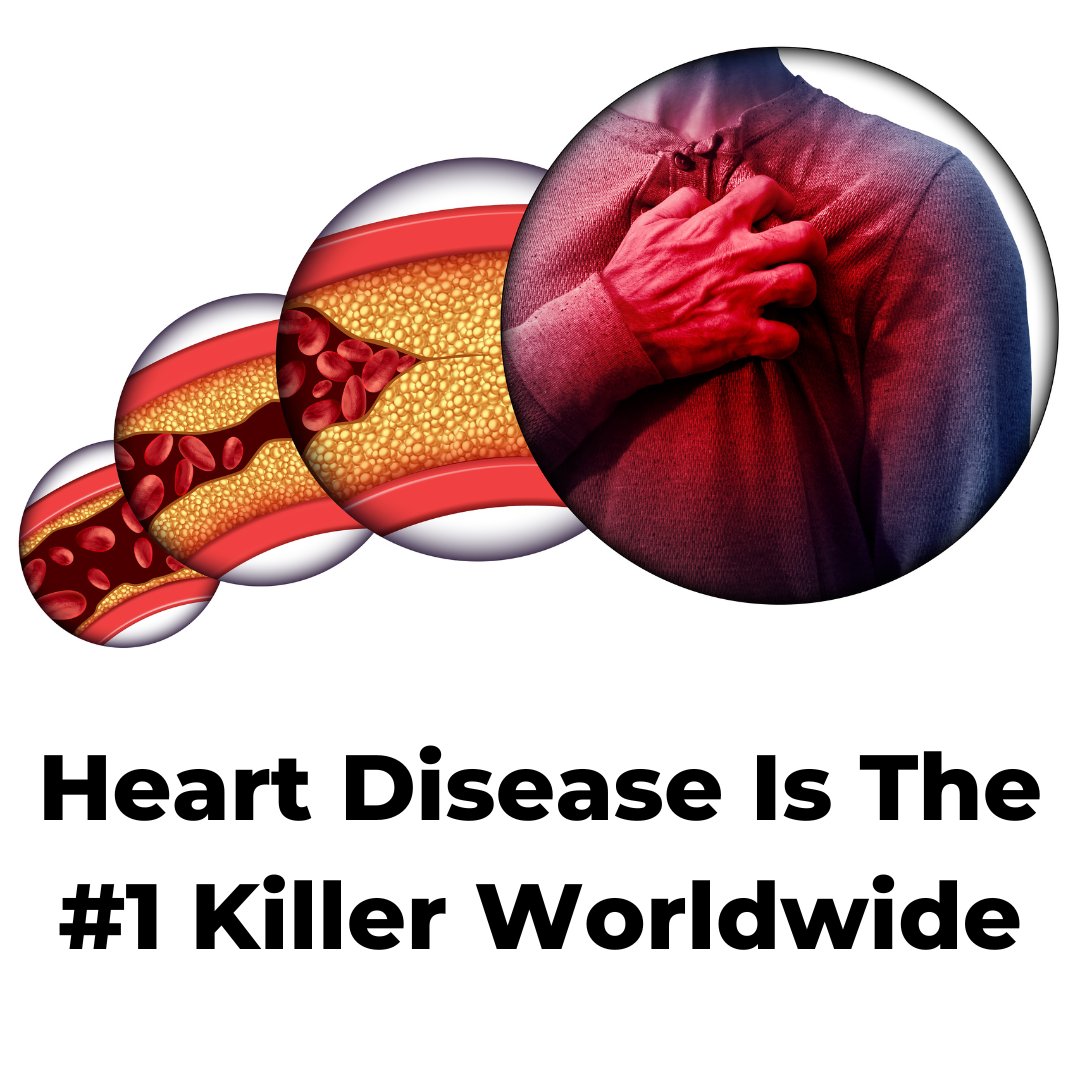 The strongest predictor of heart health is not your LDL or total cholesterol

But the ratio between your triglycerides &amp; your HDL

It's an excellent predictor of overall metabolic health too!

Both can typically be found in routine lab work

Here's where you want to be

THREAD
