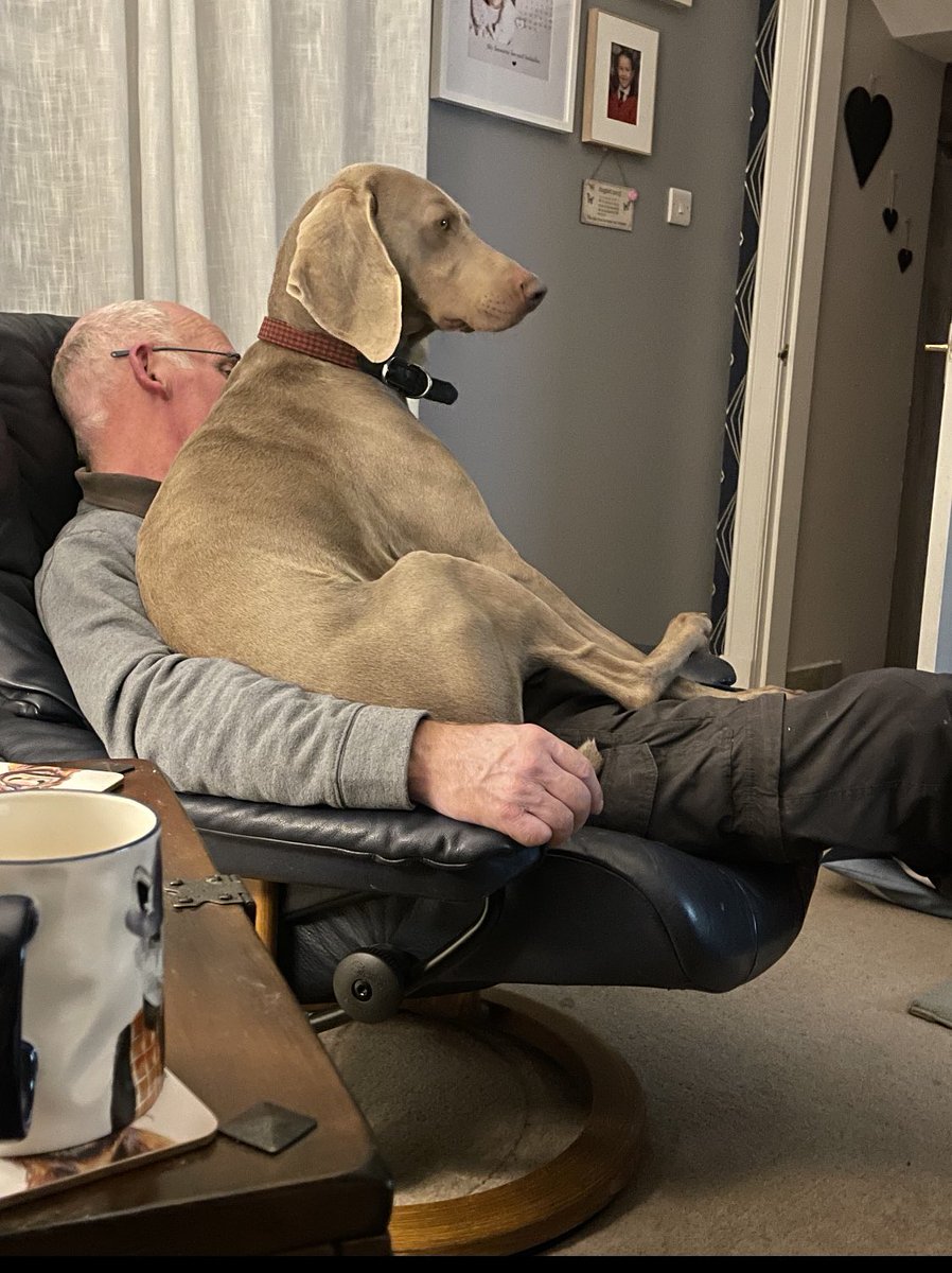 Phil Sledge tweet media